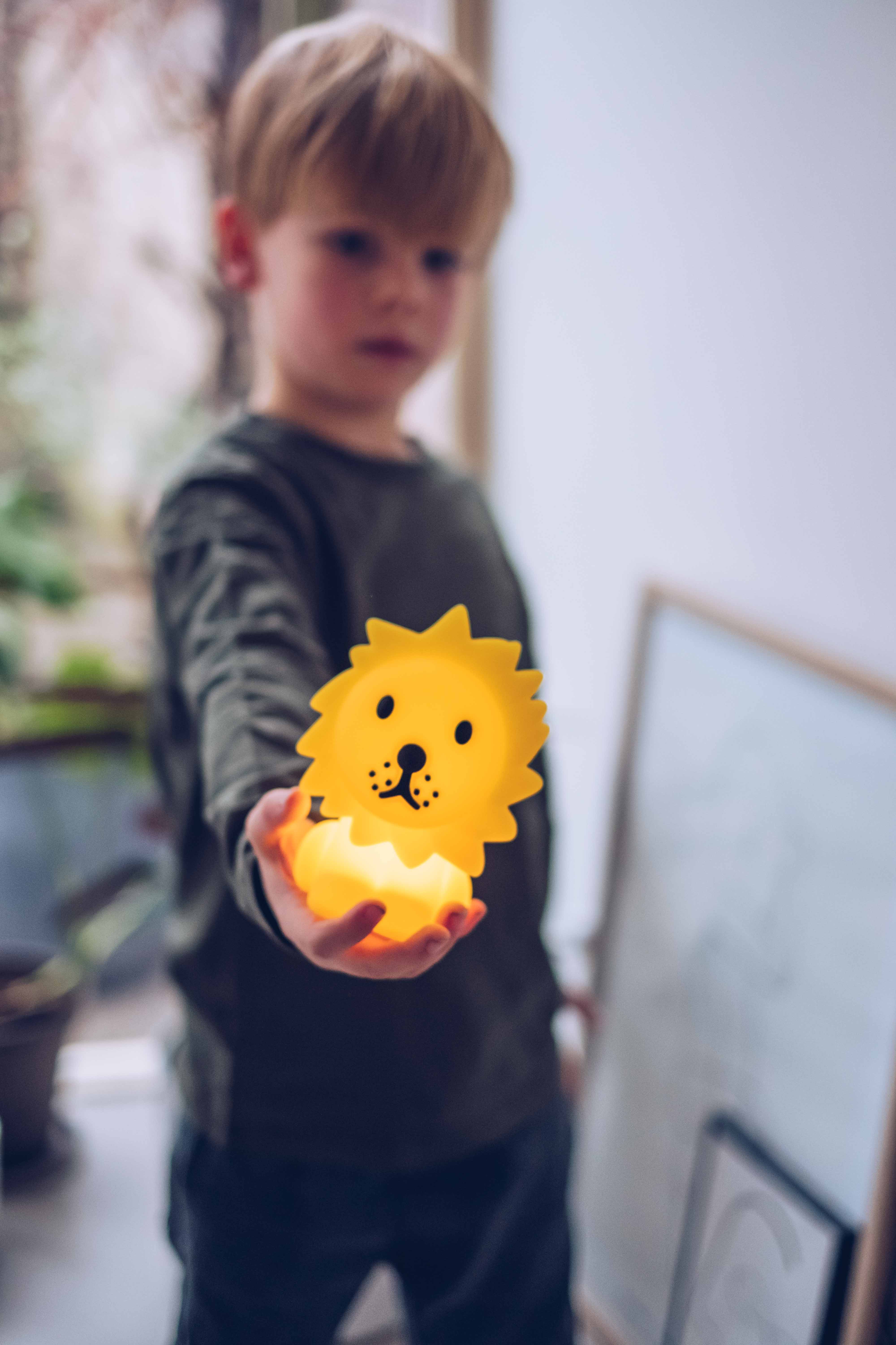 Lion Bundle of Light lamp