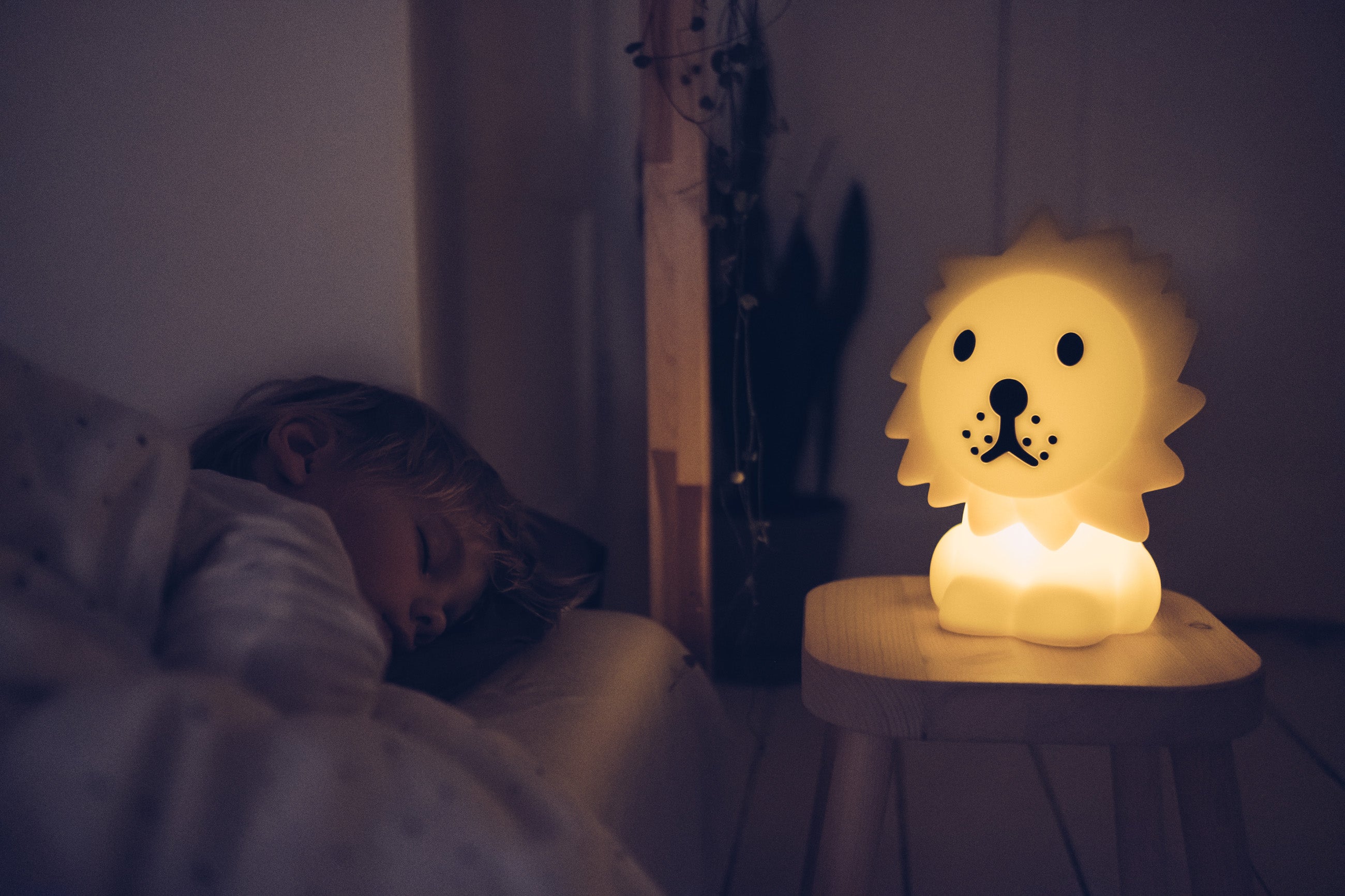 Lion First Light lamp