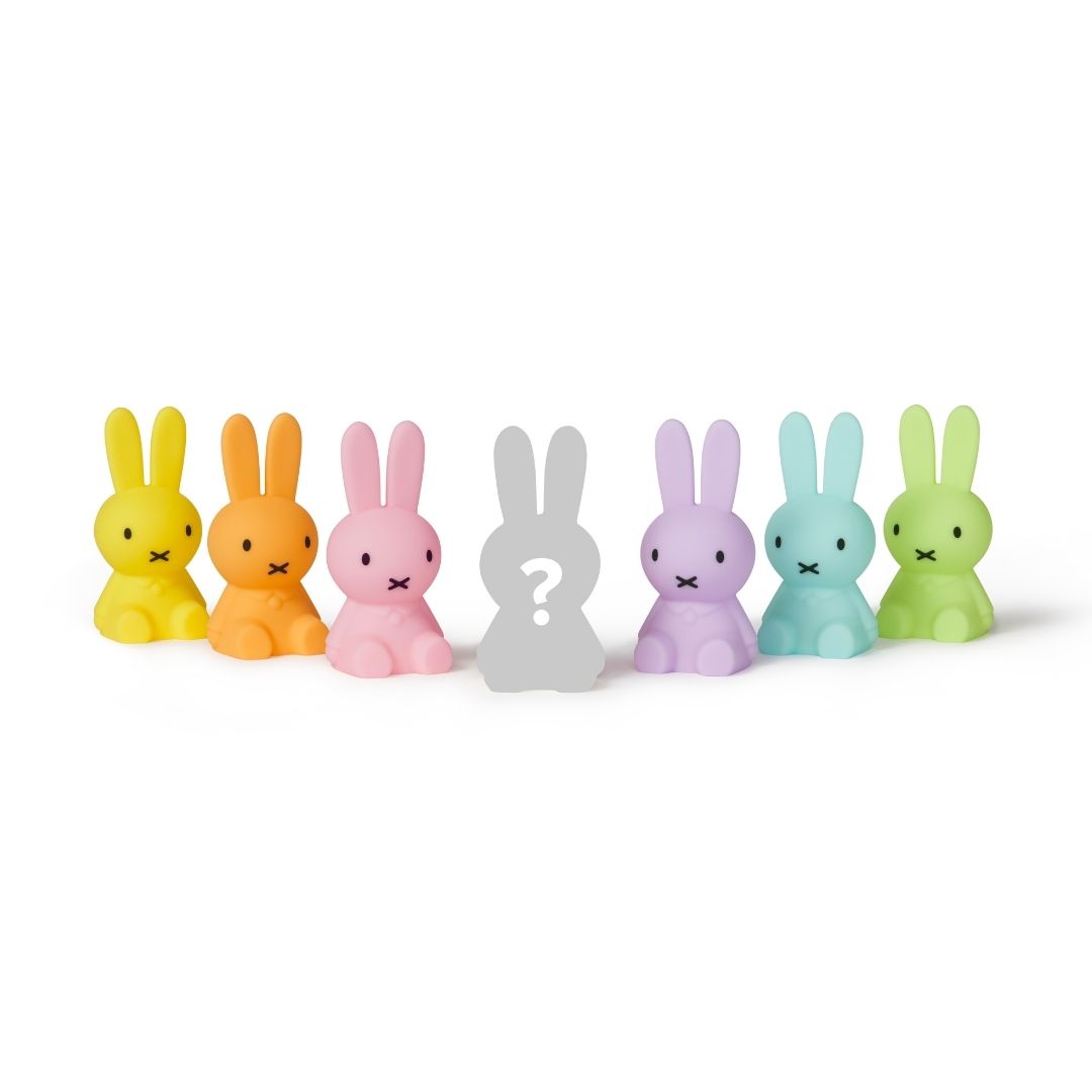 Miffy Colourful Surprise