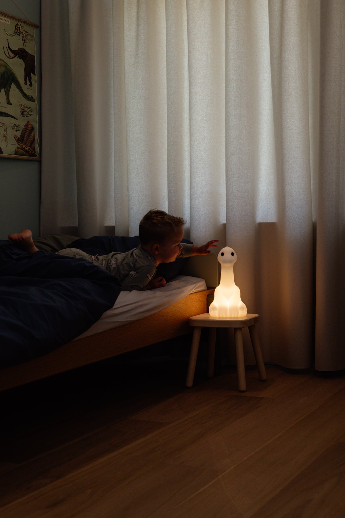 Nova First Light lamp