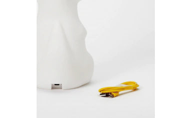 MRCAB12 - charging cable